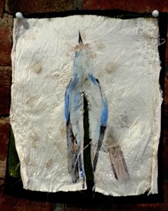 Injured and Repaired. KB