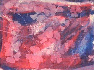 Solar Fast web. 6.22