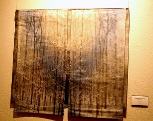 Bringing The Outside In. Wen Redmond.web