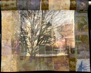 Coming Back by Wen Redmond.  web