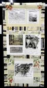 This Bird's Eye View by Janis Doucette. web