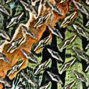 Reflections 1B web jpg