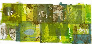 DSP Hosta Leaves and Ferns web