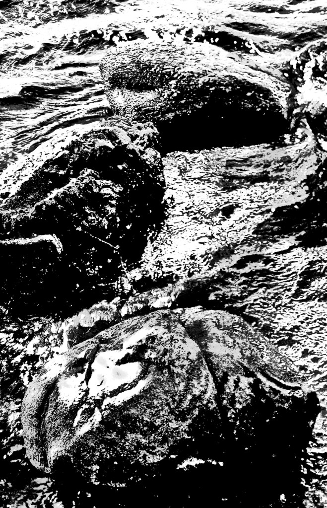 Week 4. July. B&W.s.1