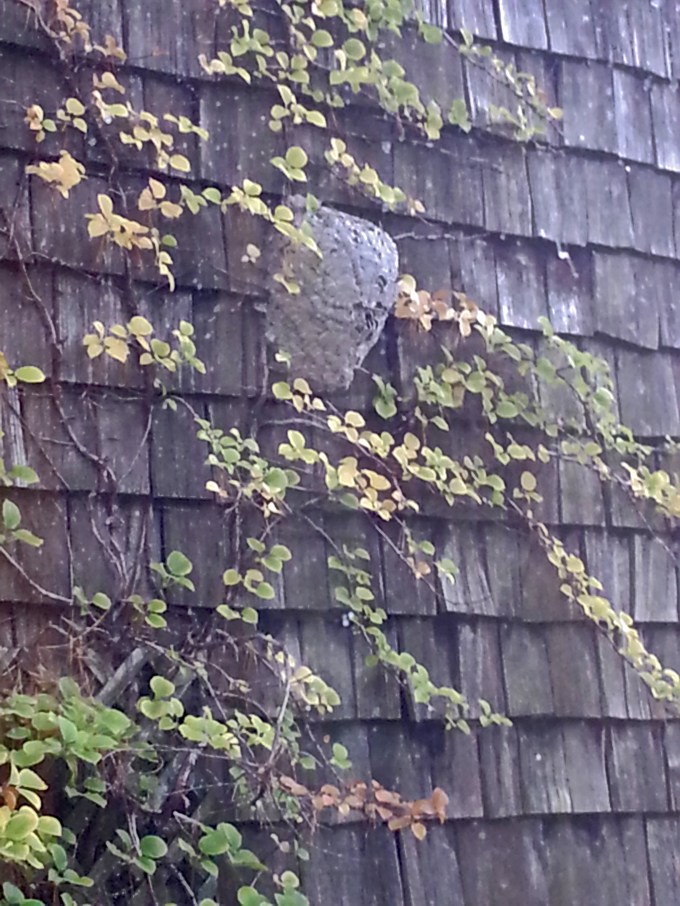 Hornet's Nest, just outside the exhibit space.