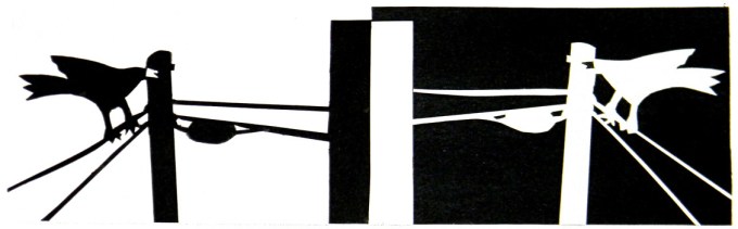 Bird On Lines.web.