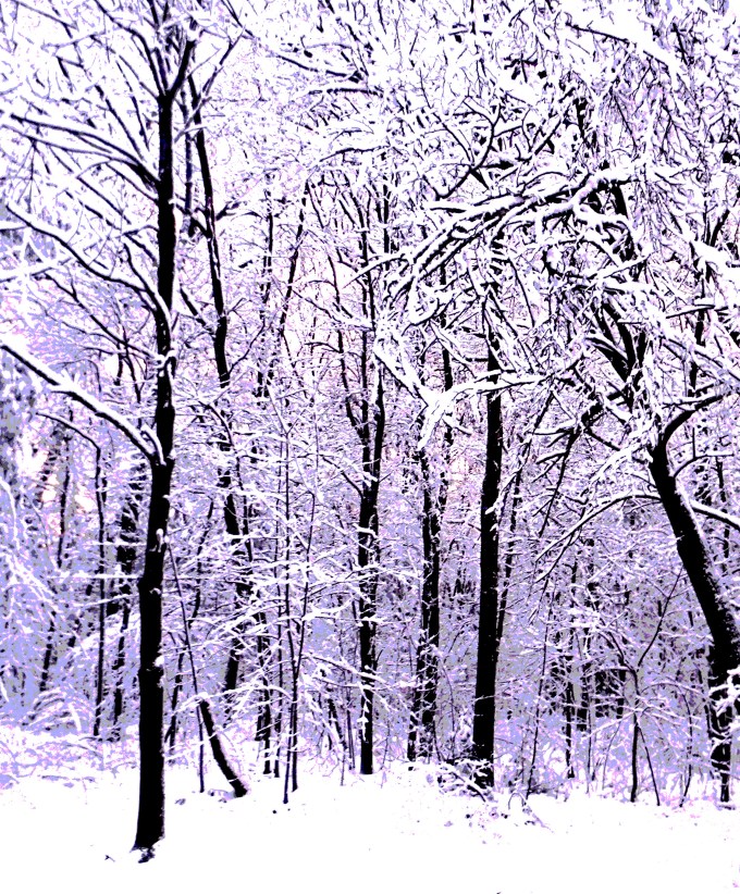 First Real Snow '16 3. Post