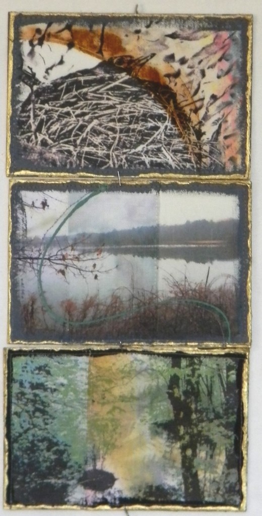 Digitized Photo Postcards