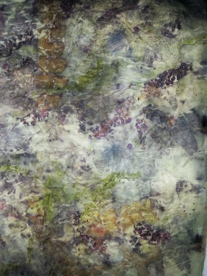 20170903_165502 copy.2