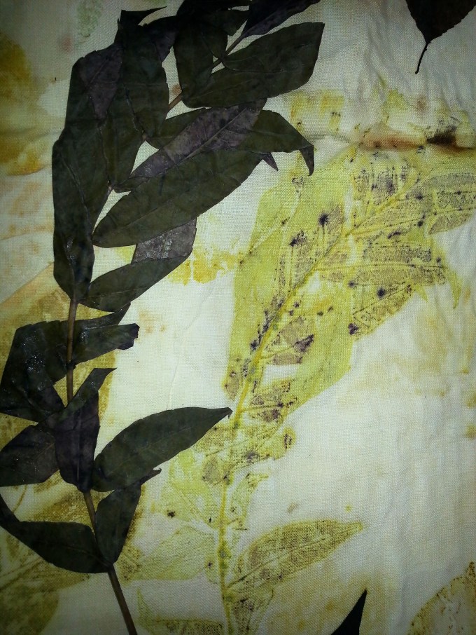 20170903_160918.4.copy