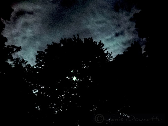 Waiting For the Moon To Clear the Trees.C.