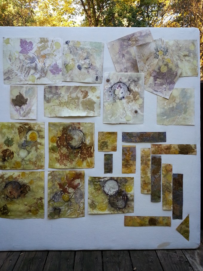 Eco prints on paper 17