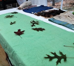 Layer 1: leaves soaked in calcium carbonate.