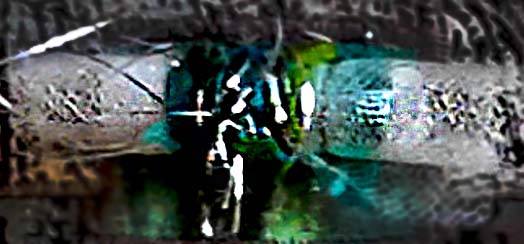 Mingling With the Sacred