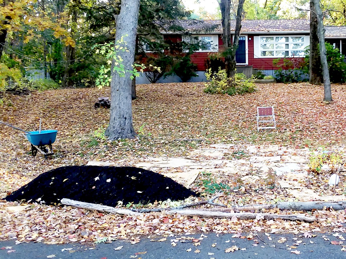 The Dirt On Fall&nbsp;Gardening