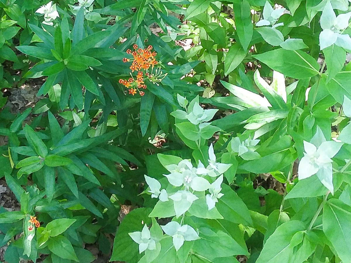 Winter Seed Project 2022! Part&nbsp;2.